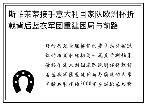 斯帕莱蒂接手意大利国家队欧洲杯折戟背后蓝衣军团重建困局与前路